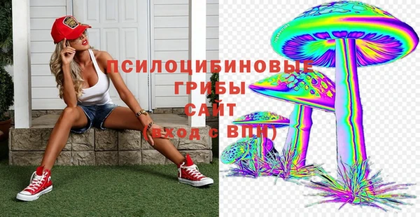 гидропоника Козловка
