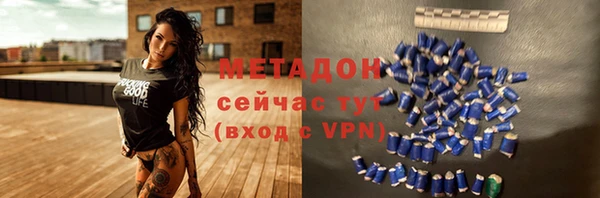 прущие грибы Архангельск