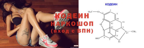 первитин Козельск
