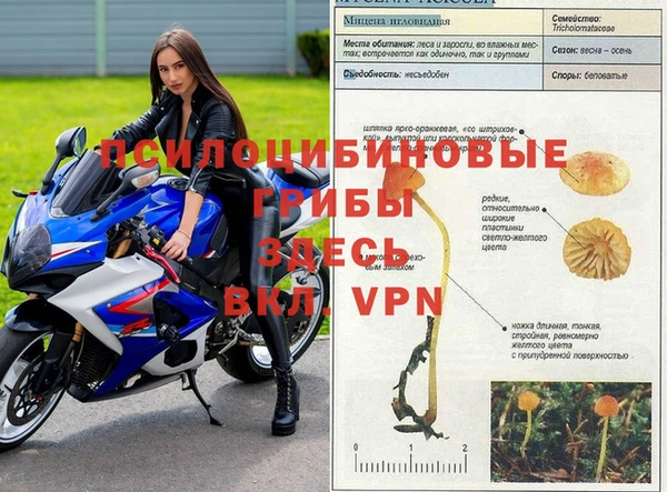 гидропоника Козловка