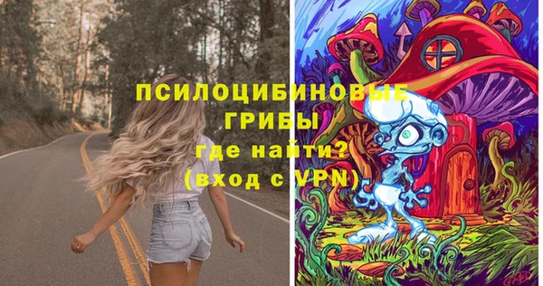 первитин Козельск