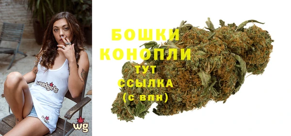 первитин Козельск