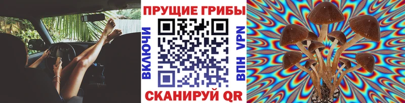 Галлюциногенные грибы прущие грибы  Мыски 