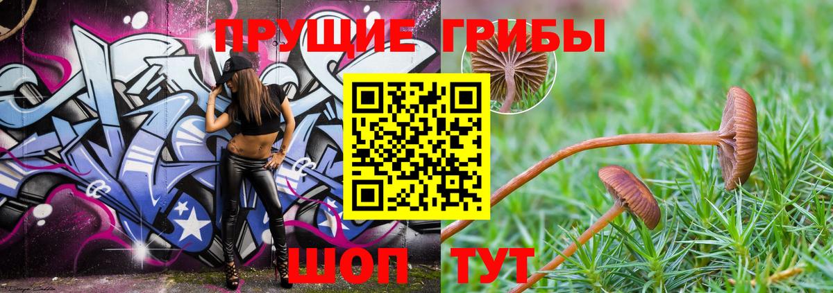 Псилоцибиновые грибы мицелий Мыски