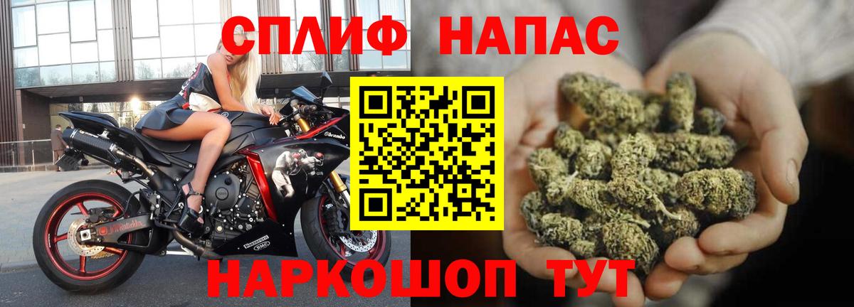 Бошки марихуана OG Kush Мыски
